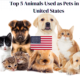 Top 5 Animals Used as Pets in the United States